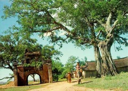 THE CENTRAL HIGHLANDS