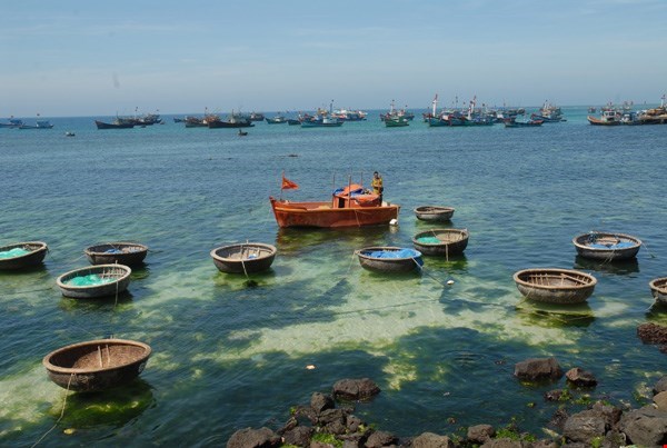 Fishing coracles on Ly Son Islands. Photo: Diep Duc Minh