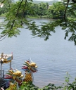 Thuyền rồng trên sông Hương - Thư viện ảnh